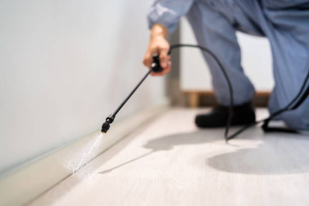 Professional exterminator conducting IPM assessment in Wilburton