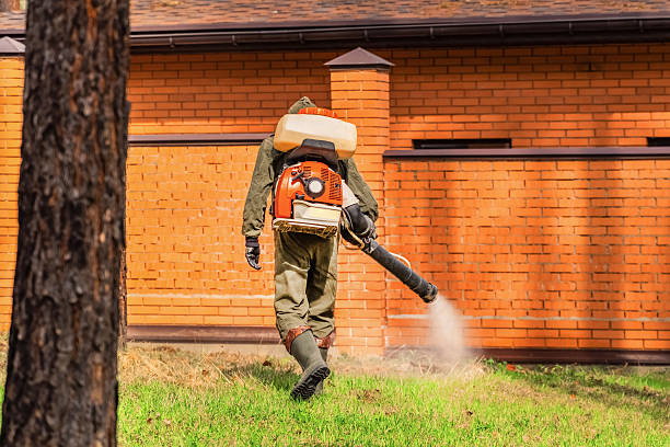 Top rated local Mosquito Control specialists in Wilburton, OK